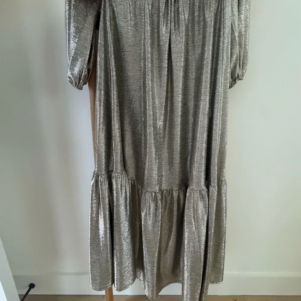 Elegant Silver Evening Dress - Picture 4 of 5